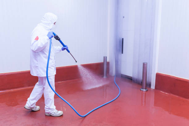 Best Spring Cleaning  in Celoron, NY