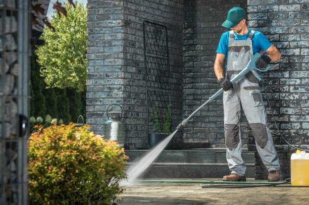 Best Dumpster Area Cleaning  in Celoron, NY