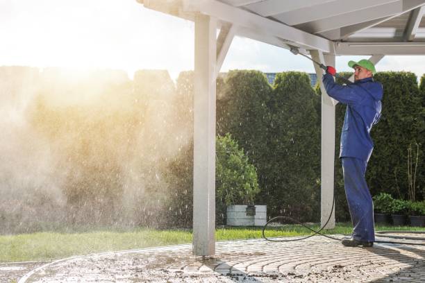 Best Soft Washing  in Celoron, NY