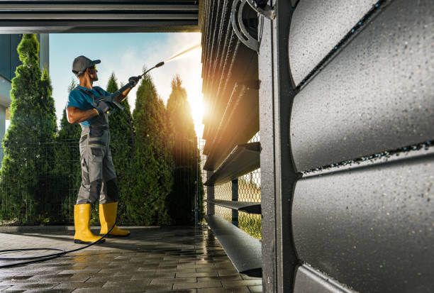 Animal Enclosure Cleaning in Celoron, NY